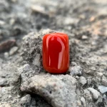 Bold Cylinder-Shaped Red Coral Gemstones